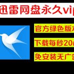 迅雷 永久会员10m/s？还有永久年费会员